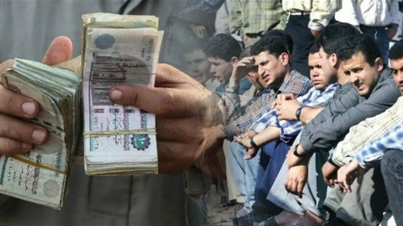 رابط الاستعلام عن استحقاق معاش تكافل وكرامة لعام 2026 بالرقم القومي
